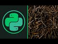 HOW TO STORE PASSWORDS AND KEYS | Python