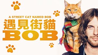 遇見街貓主題曲-流浪貓BOB主題曲-A Street Cat Named Bob【木比電影主題曲－Movie theme song】