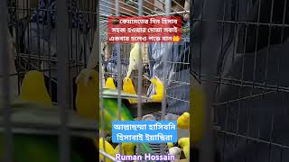 #viralvideo 🕌🙏কেয়ামতের দিন হিসাব সহজ হওয়ার দোয়া🤲