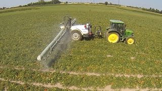 Toselli Cloud - Spraying Tomatoes  + John Deere 5820