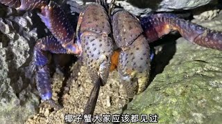 环球探海记土耳其：赶紧收藏土耳其的希腊小镇美爆了