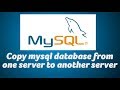 Copy mysql database from one server to another server