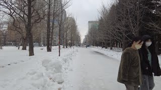 【日本歩/4K Japan(Sapporo City, Hokkaido) Walk】札幌市（中島公園の豊平館からすすきの）まで散歩 (2023/01/09)