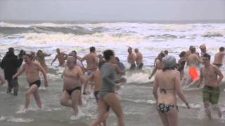 DGSH Tierschutzchallenge/Neujahrsschwimmen Sylt