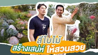 ชวนเคน ภูภูมิ คุยเรื่องเทคนิคการเลือกสีเขียวที่แตกต่าง