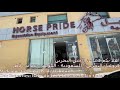 horse pride bahrain عز الخيل بحرين