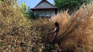 A beautiful girl is surprised when she returns to her old house