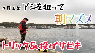 あの魚影の濃い釣り場で、朝マズメのトリック\u0026投げサビキ釣り