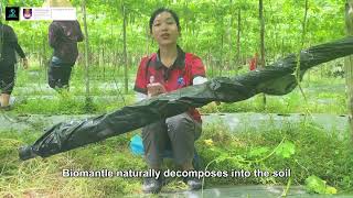 BioMantle : Protecting Crop Preserving Nature (SSV68) iRISE 2025