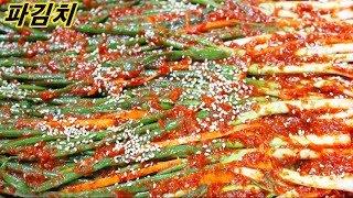 파김치/green onion kimchi /맛있는 파김치 황금레시피/ 밥상매일(Every table) 요리스타일(food style)