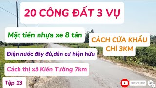 ( tập 13 ) 20 công đất lúa 3 vụ - mặt tiền nhựa xe 8 tấn tại Kiến Tường - LH 0338.249.343