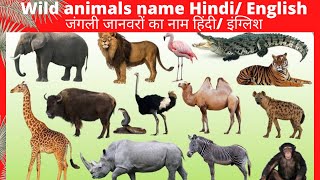 जंगली जानवरों के नाम हिंदी और अंग्रेजी | Wild animals names hindi and English | with Picture