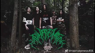 #SlamBrutalDeath# Haematemesis LIVE CLIP @Deathcore Be Born in Shanghai YYTP 2021_1_22