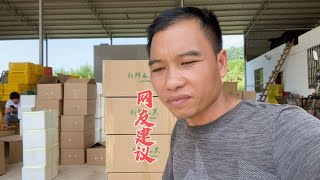 炮哥跟表妹听了网友的建议，桃子的包装全部换，但愿别出问题了【广西炮哥的生活】