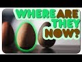 Zen Egg - Where are they NOW?