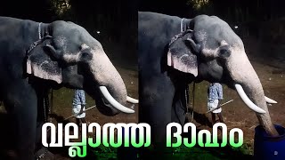 ഞാൻ ഇച്ചിരി വെള്ളം കുടിക്കട്ടെ 😆 | Ukkans Kunju