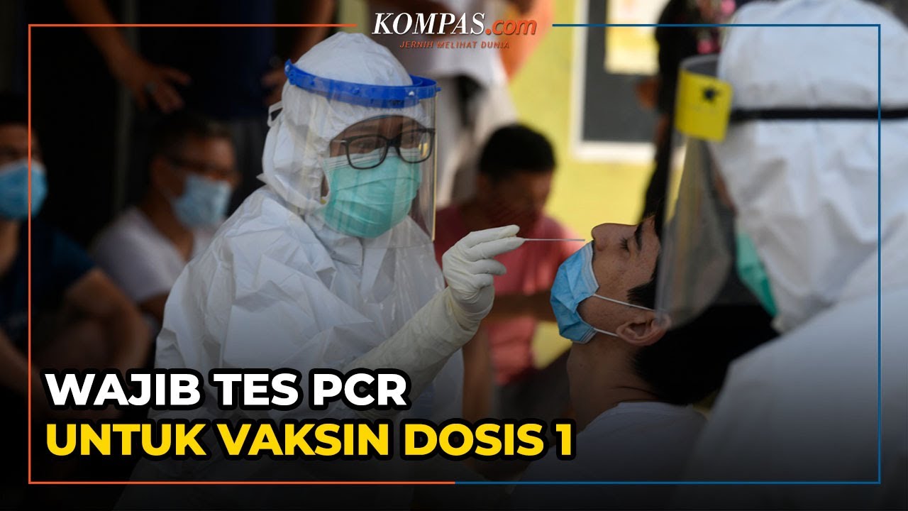 Tes PCR Dan Antigen Tetap Wajib Bagi Pelaku Perjalanan Yang Baru Vaksin ...