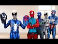 SUPERHERO's Story || Who's The FAKE White Spider-Man...?? ( New Character, Live Action )