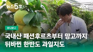 국내산 패션후르츠부터 망고까지…뒤바뀐 한반도 과일지도 #보니보니 / JTBC 뉴스5후