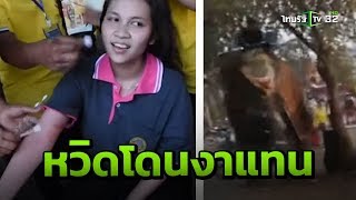 สาวหวิดดับ ถูกช้างใช้งาแทง เฉียดสีข้าง | 08-02-62 | ข่าวเช้าไทยรัฐ