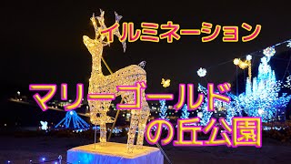 【イルミネーション】マリーゴールドの丘公園（埼玉県本庄市）【4K】Illumination