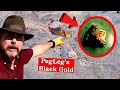 Google Earth Used to Find Black GOLD Nuggets