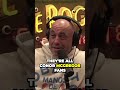 Joe Rogan and David Goggins talk about Khabib beef with McGregor!😳 #davidgoggins #joerogan #ufc