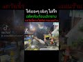 ก๋วยเตี๋ยวต้มยำจัมโบ้โต้รุ่งกาญจนบุรี ขายที่ตลาดโต้รุ่งเมืองกาญจนบุรี ขายทุกวันเวลา 17.00 22.00น.