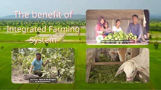 The benefit of Integrated Farming System | អត្ថប្រយោជន៍ប្រព័ន្ធកសិកម្មចម្រុះ