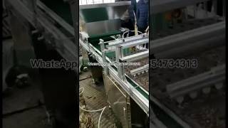 Spinach, leek, pumpkin seed sowing seedling machine #machine