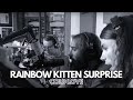 Download Acme Radio Session Rainbow Kitten Surprise Cold Love mp3
