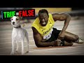 The Jack Russell Terrier Can Outrun Usain Bolt #shorts