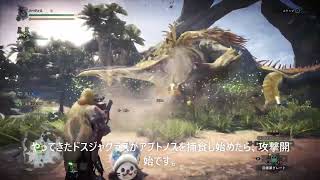 【MHW:I】ドスジャグラスから効率良く装飾品を稼ぐ方法！2023年最新版（モンスターハンターワールド：アイスボーン攻略）