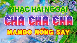 LK Asia Golden ChaChaCha Không Lời Mambo Nồng Say | Hoà Tấu Asia Golden Cha Cha Cha Hải Ngoại