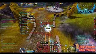 Aion Overdose 7.7  Gladiator Morning PvP