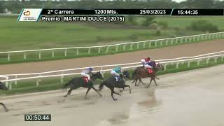 230325 c02 - LA BELUCCI - HIPODROMO LAS PIEDRAS