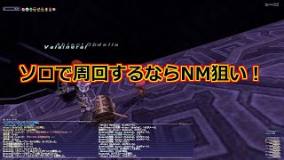 FF11 ソロでソーティを効率よく周回するには？