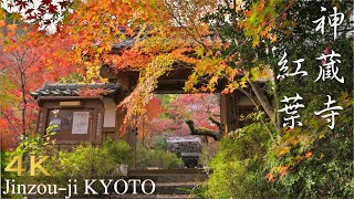 神蔵寺の紅葉 2021【京都・亀岡の紅葉】