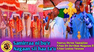 Samirraa ni bu'e, Nagaan siif haa ta'u Faaruu waltajjii Ft Dn Dirribaa Nuguse fi F/taa Caalaa Tolosa