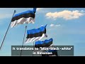 estonia flag history u0026 meaning eesti lipu ajalugu ja tähendus