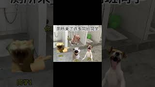 上课时在厕所蹲坑的你  #内容过于真实 #funny #猫meme