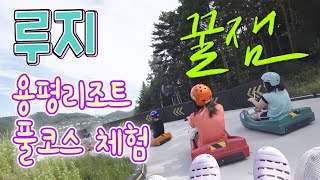 [꿀잼]용평리조트 루지체험하고 왔어요. luge 넘 재밌어요. 용평루지 고고