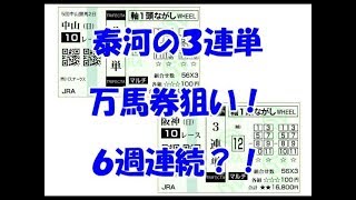 【競馬】泰河の勝負馬券 ３連単１６８点勝負　６週連続万馬券なるか？！中山阪神１０レース編　【実践】３連単１６８点勝負