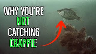 Step-By-Step Guide To Ice Fish For Crappie In Crystal-clear Water (Underwater Footage)