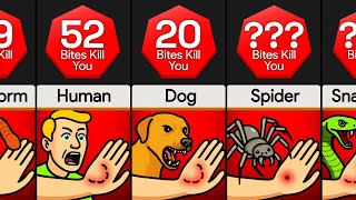 Comparison: How Many ____ Bites To Kill You [Part 2]