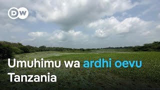 Umuhimu wa ardhi oevu