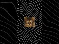 Drag and drop GUI builder for python - Pyuibuilder
