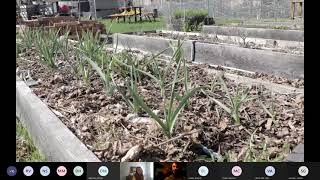 Vanier Garden Virtual Field Trip