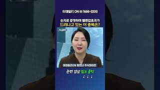 숫자로 증명하며 벨류업효과가 드러나고있는 이 종목은?_이데일리ON 파트너 주식와이프