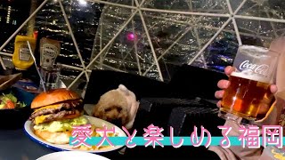 【ペット同伴可】激安！博多駅周辺ホテル＆クリアドームのあるBAR✨